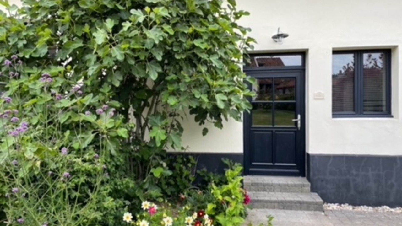 Photo of Others in Courset