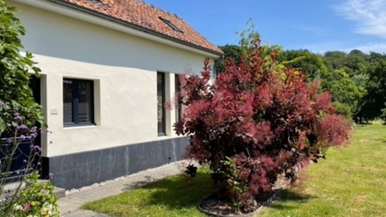 Photo of Others in Courset