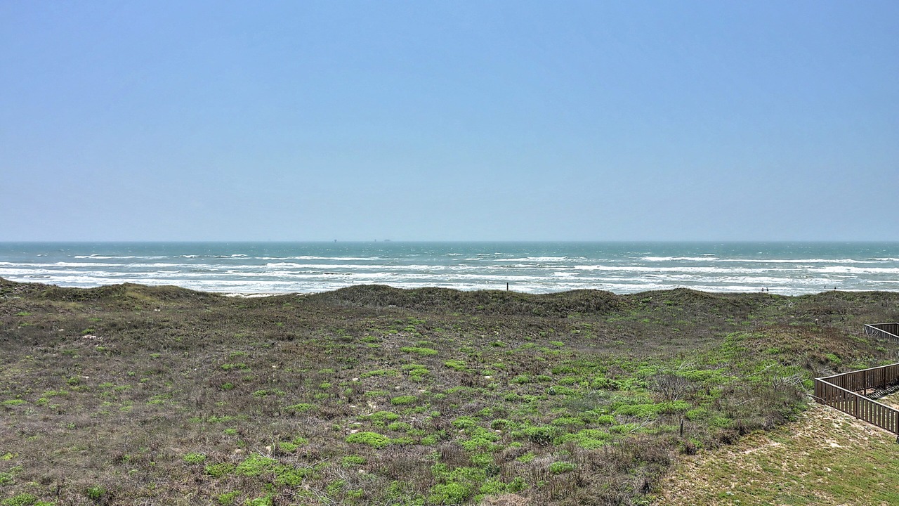 Photo of Others in Port Aransas