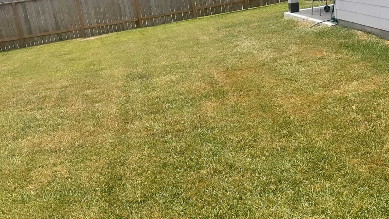 Photo of Outdoor in Richmond