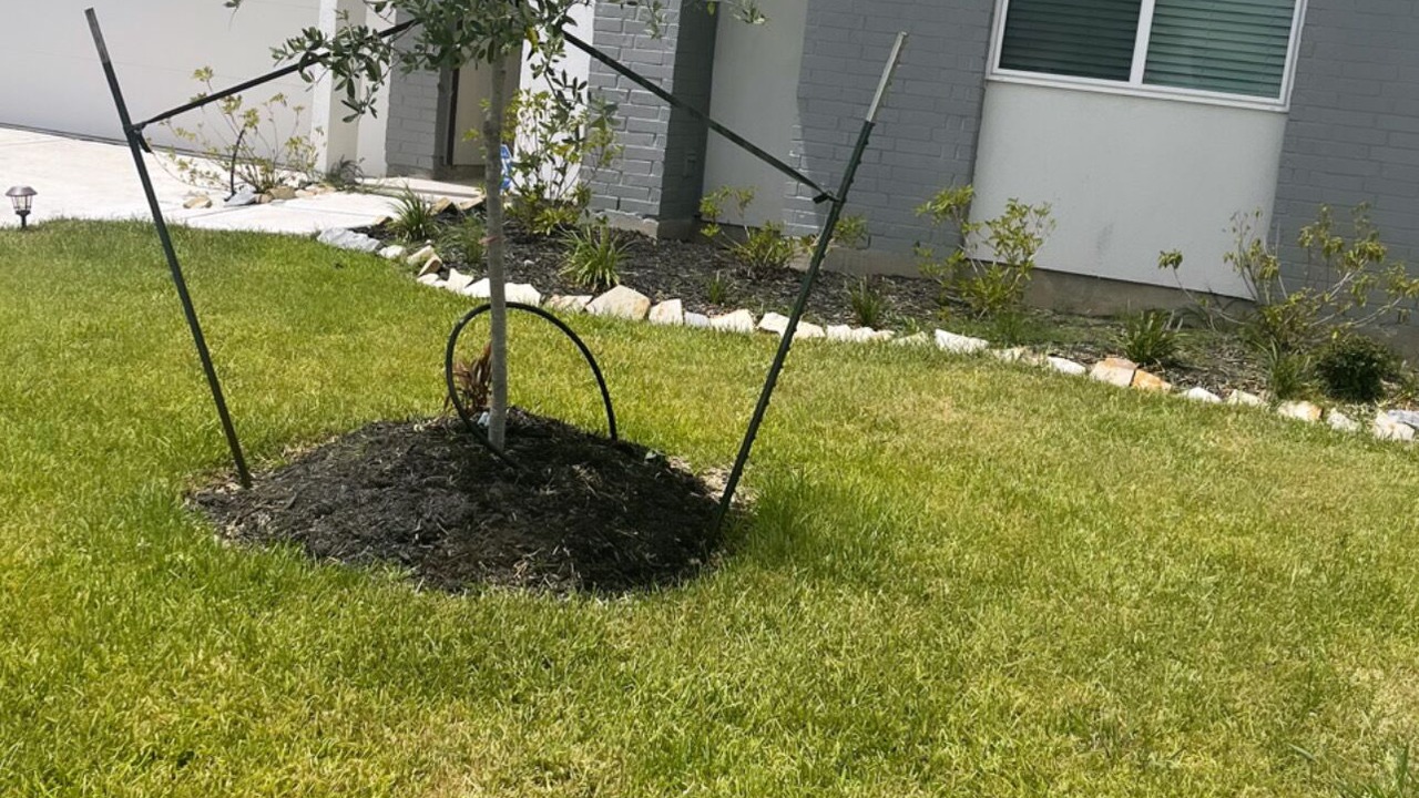 Photo of Outdoor in Richmond