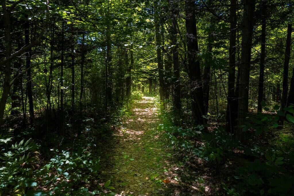 Photo of Others in Amherst