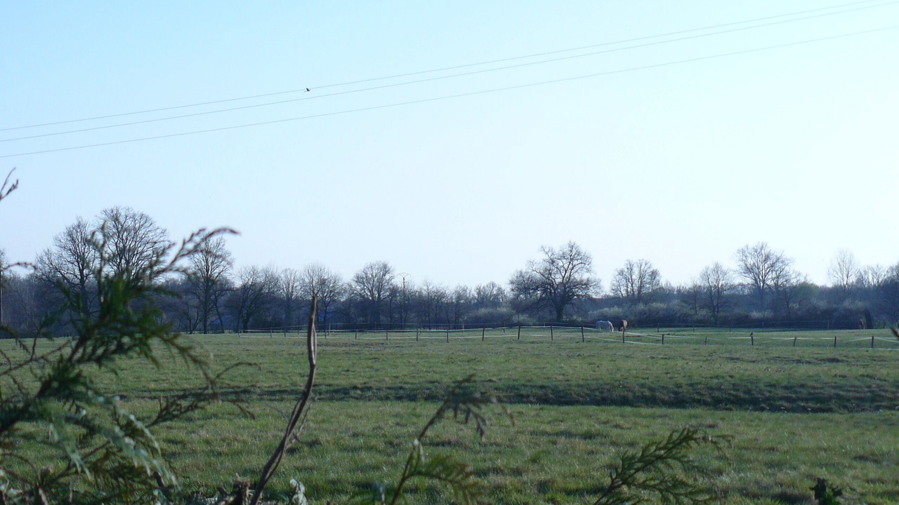 Photo of Outdoor in Marboz