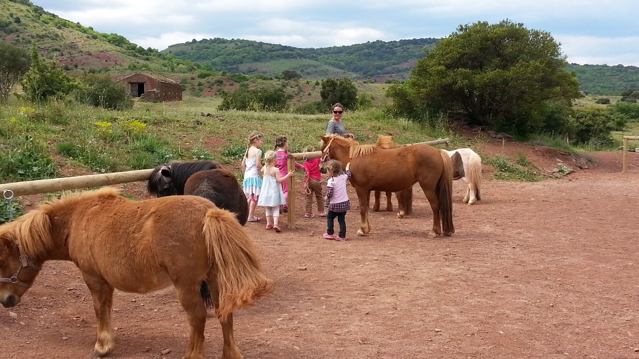 Photo of Others in Octon