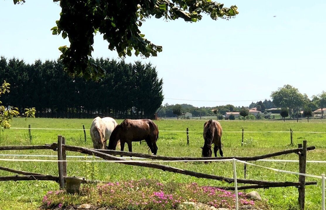 Photo of Others in Ponlat-Taillebourg