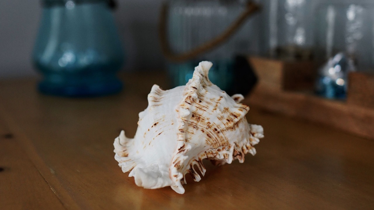 Photo of Others in Modesto