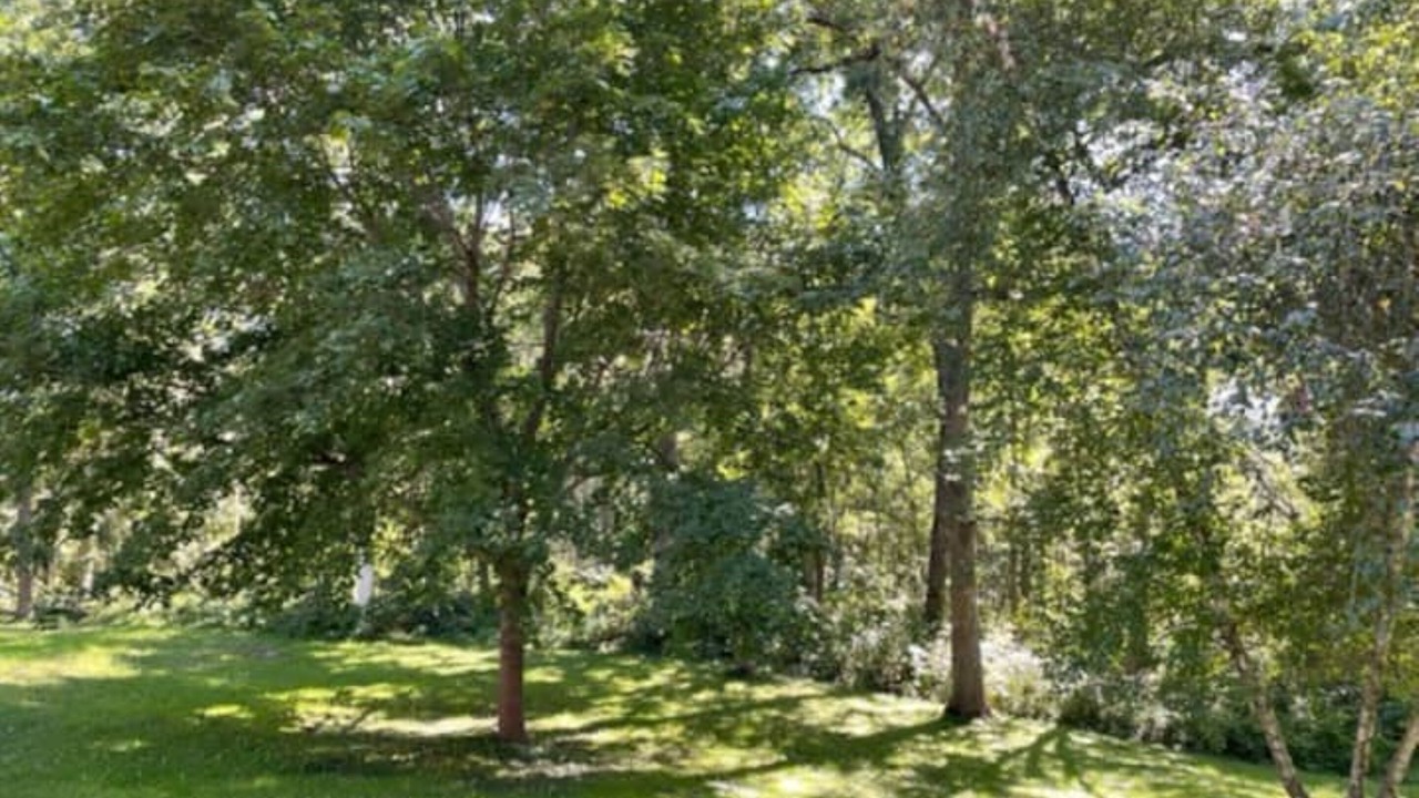 Photo of Outdoor in Decorah