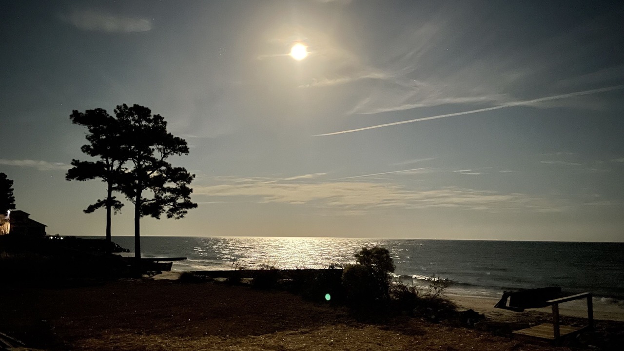 Photo of Others in Reedville