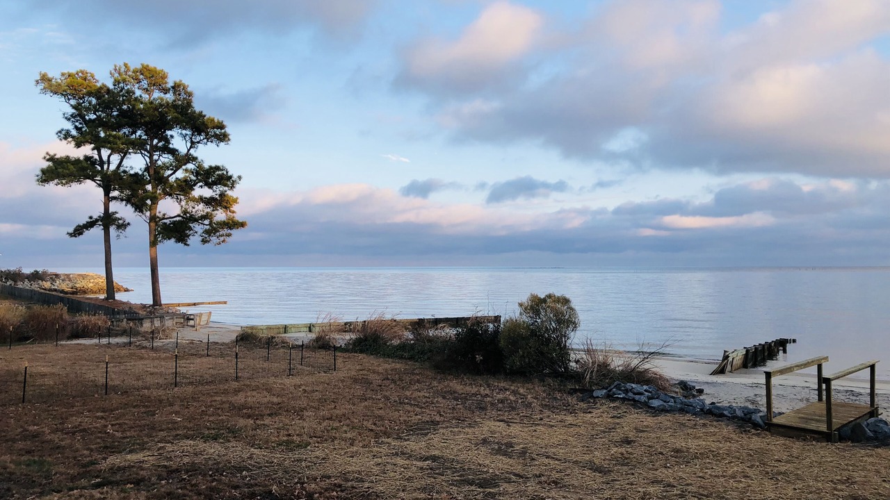 Photo of Others in Reedville