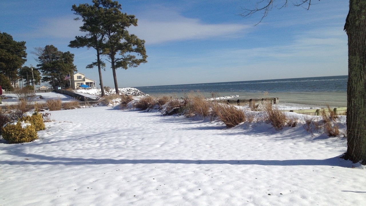 Photo of Others in Reedville