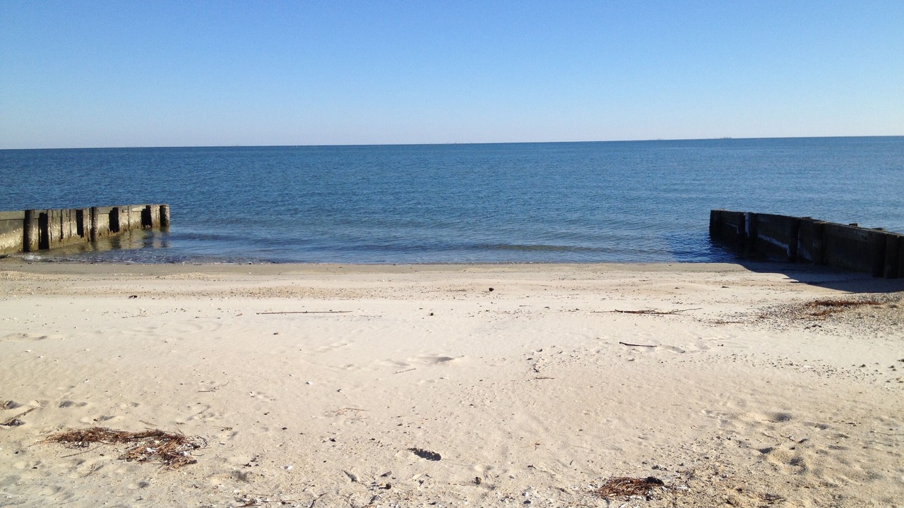 Photo of Others in Reedville