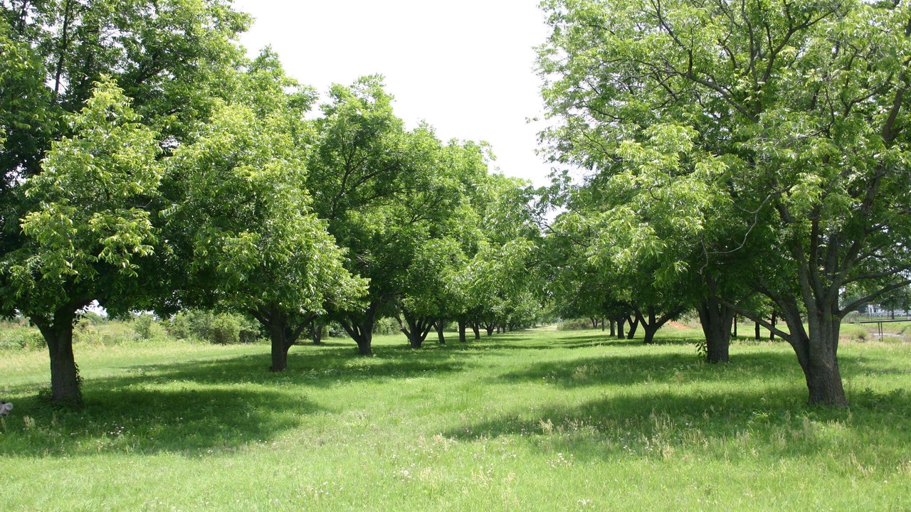 Photo of Others in Aurora