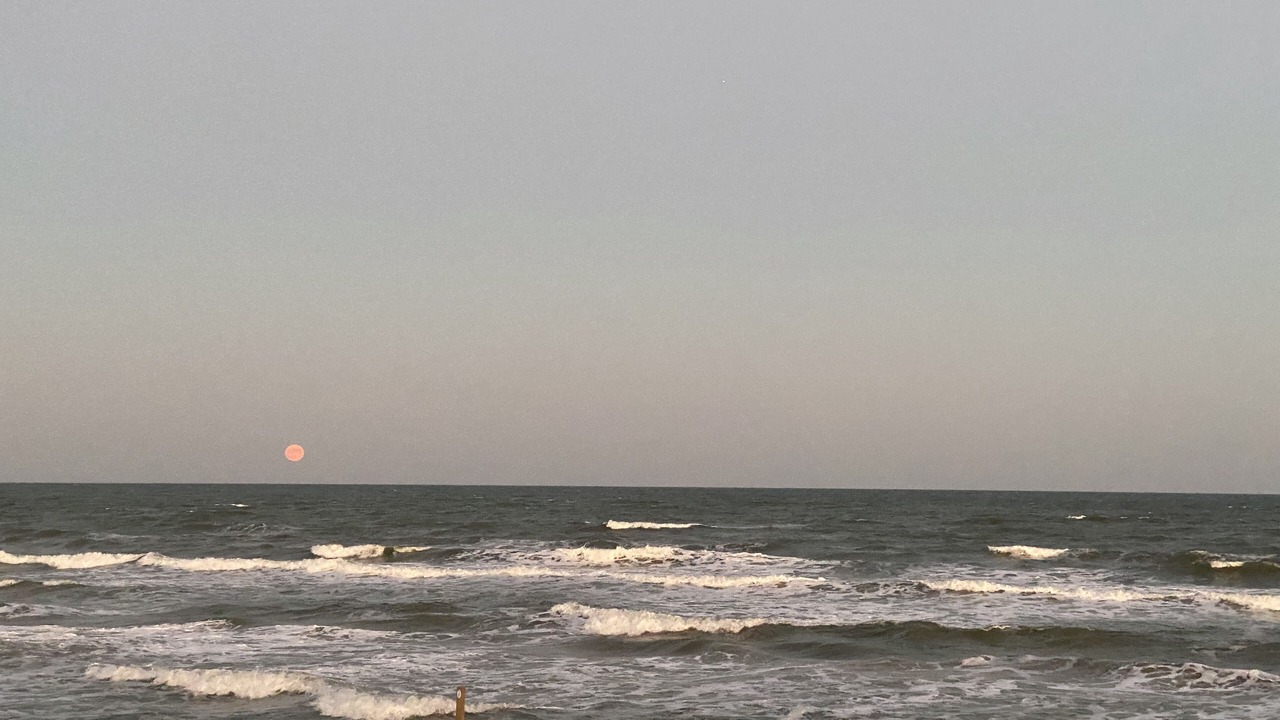 Photo of Others in Surfside Beach
