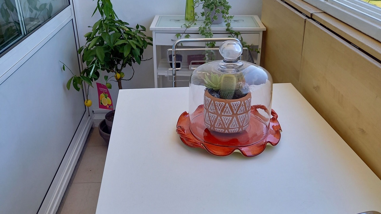 Photo of Others in Toulon