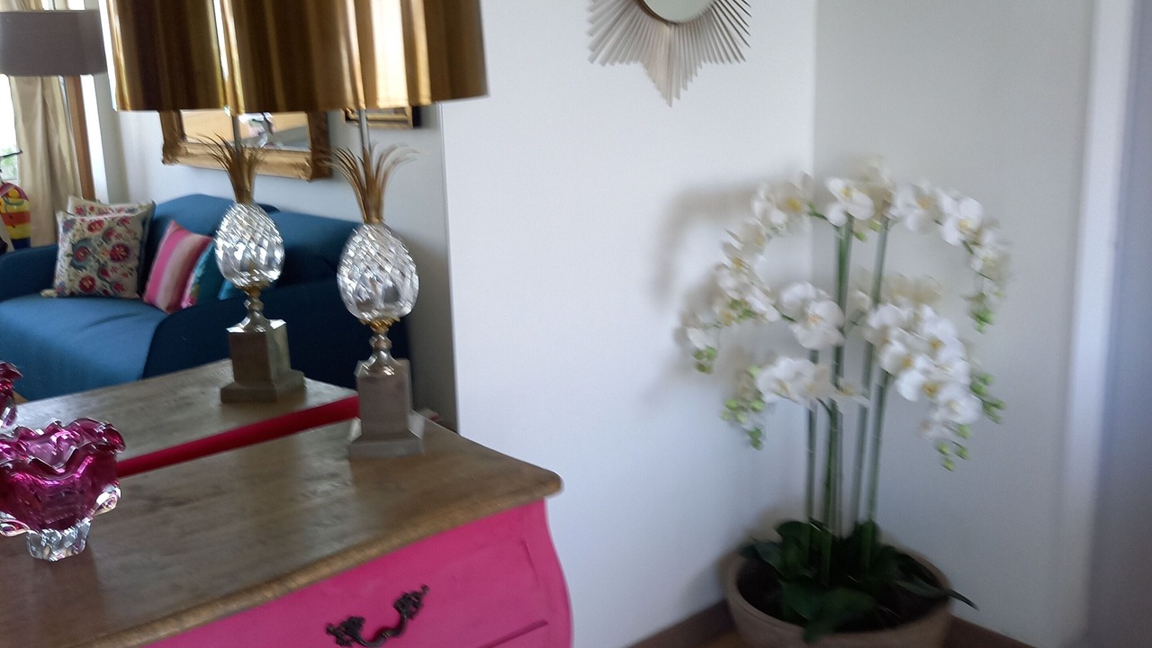 Photo of Others in Toulon