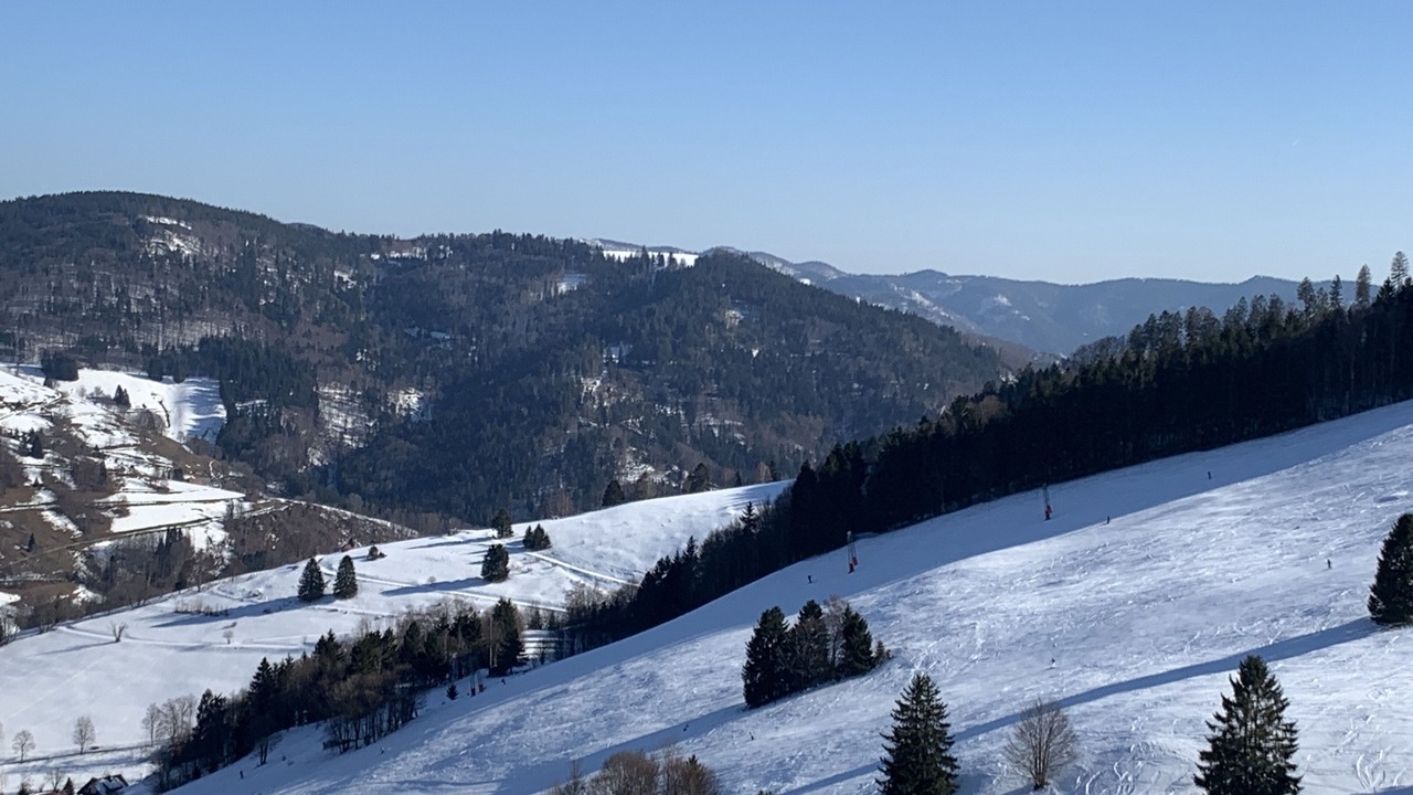 Photo of Others in Fiesch
