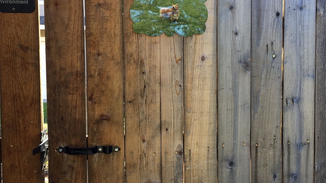 Photo of Outdoor in Waco