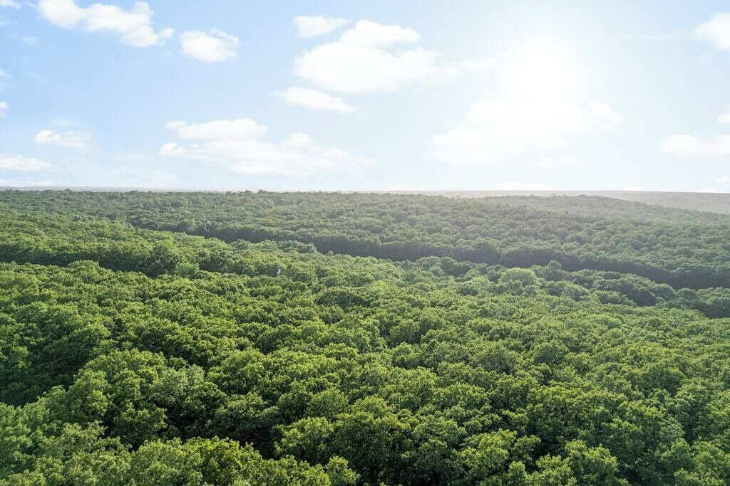Photo of Others in Cleveland