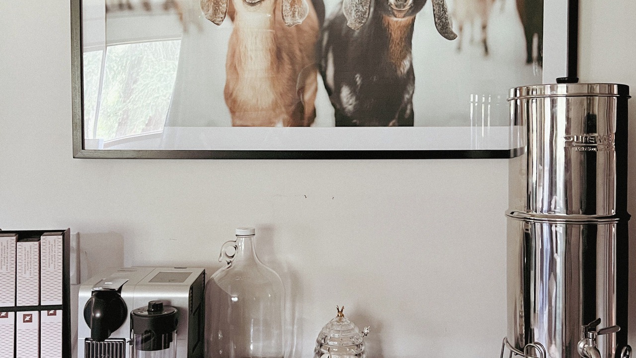 Photo of Others in Covington