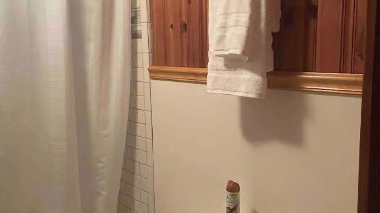 Photo of Bathroom in Meadows Of Dan