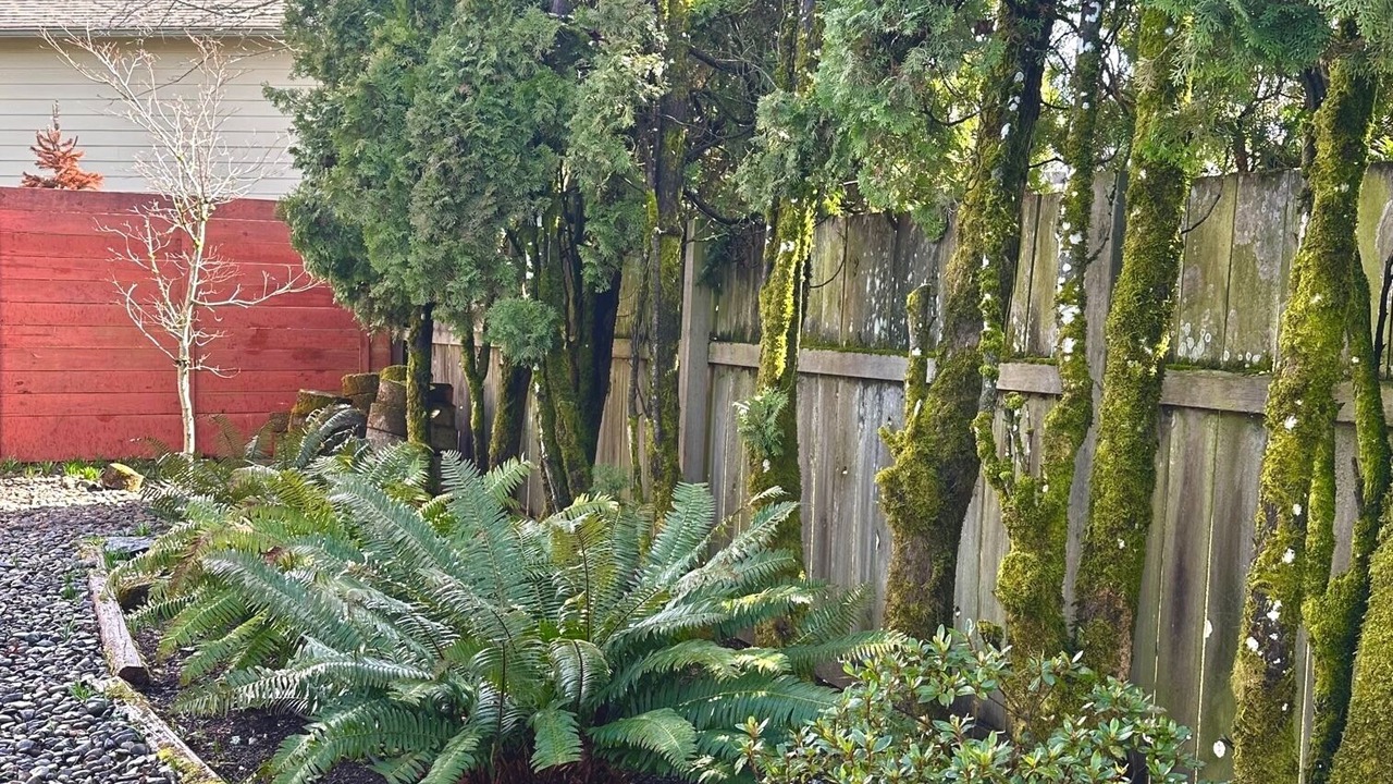 Photo of Outdoor in Dallas