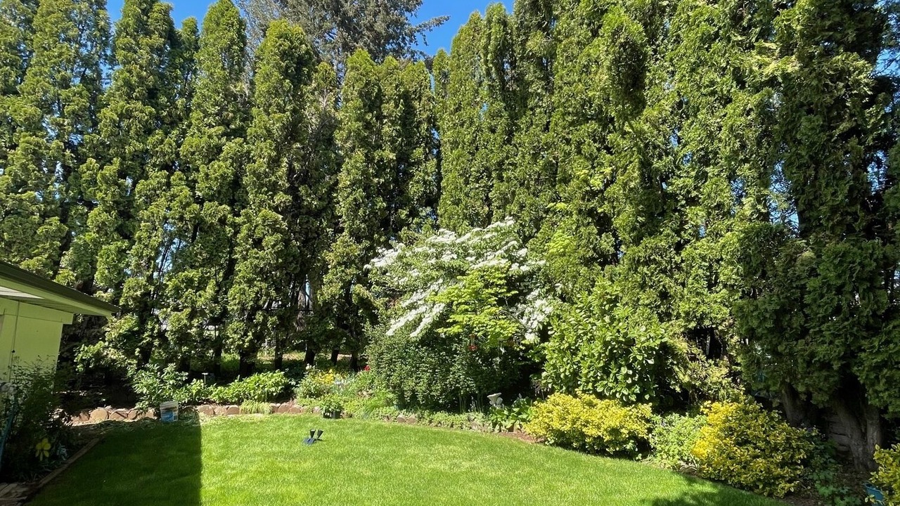 Photo of Outdoor in Dallas