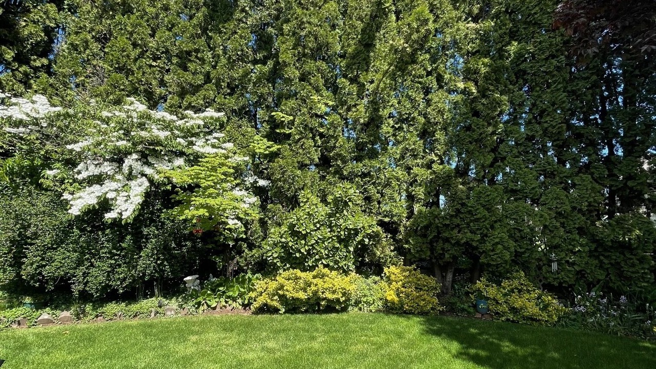 Photo of Outdoor in Dallas