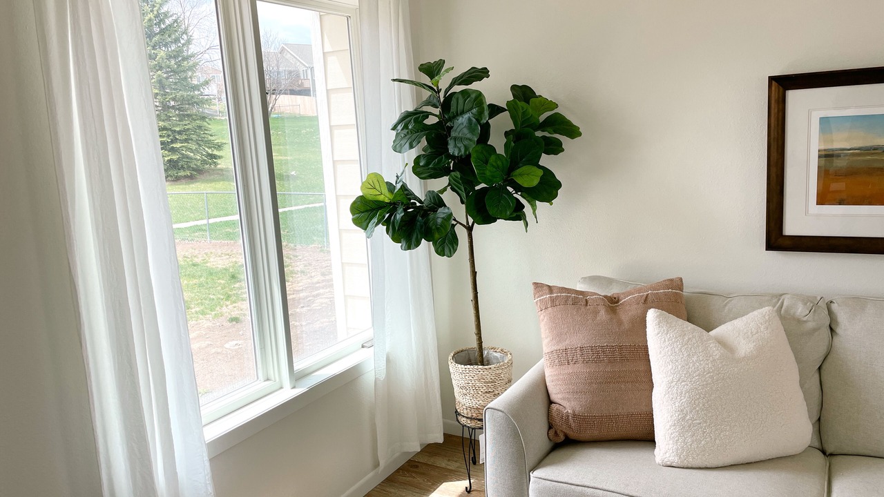 Photo of Livingroom in Rapid City