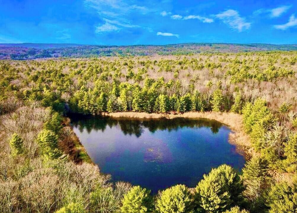 Photo of Outdoor in Sparrow Bush