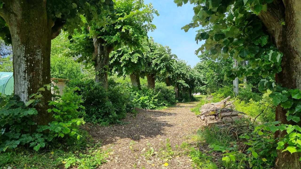 Photo of Outdoor in Rochecorbon