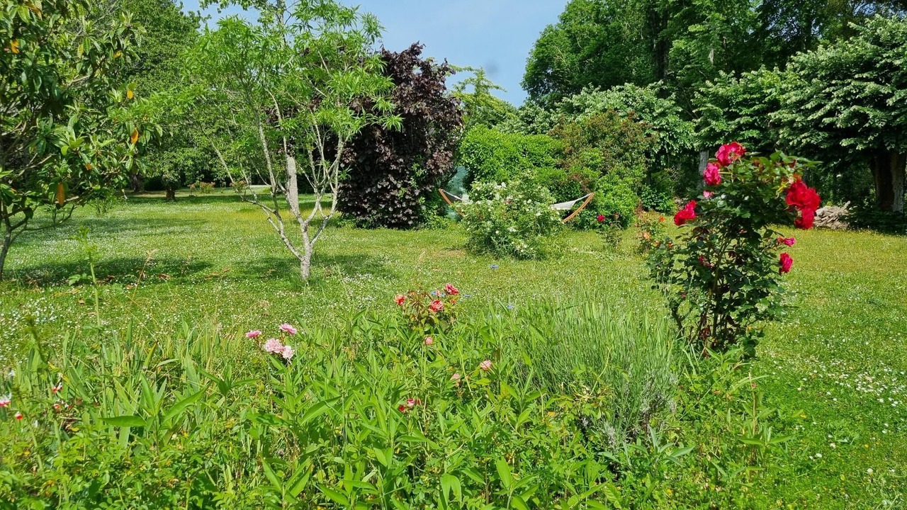 Photo of Outdoor in Rochecorbon