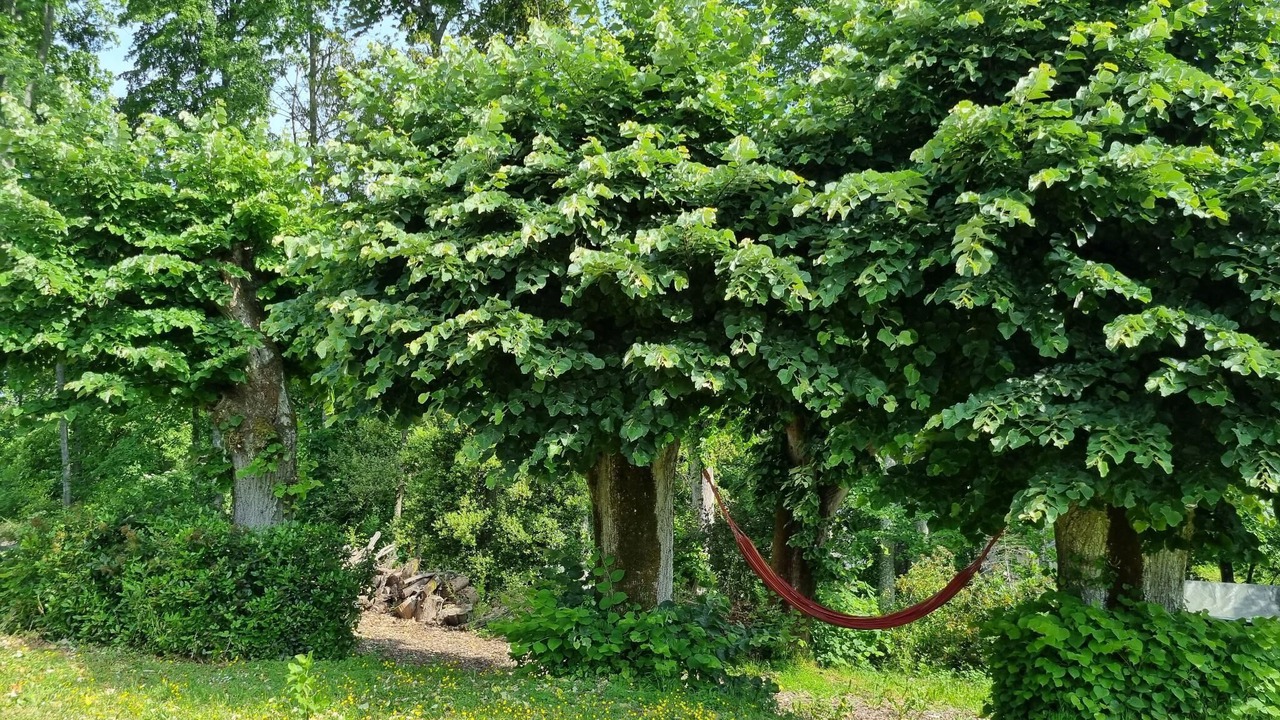 Photo of Outdoor in Rochecorbon