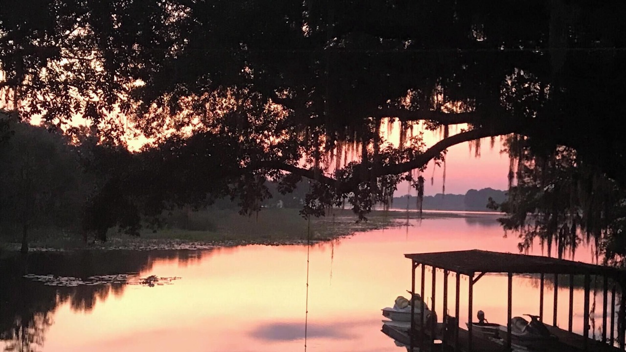 Photo of Outdoor in Hernando