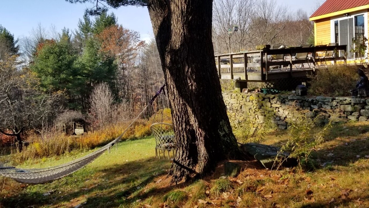 Photo of Outdoor in Williamsville