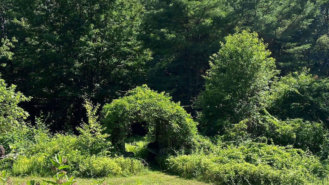 Photo of Others in Brookline