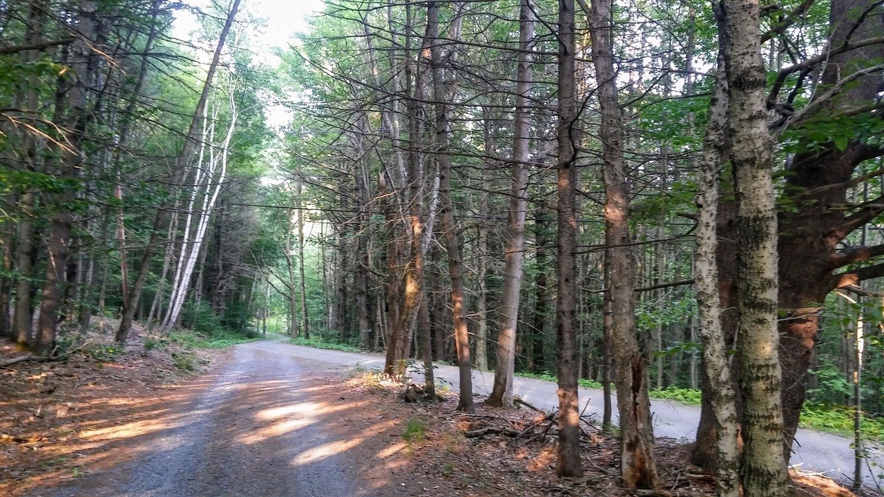 Photo of Outdoor in Brookline