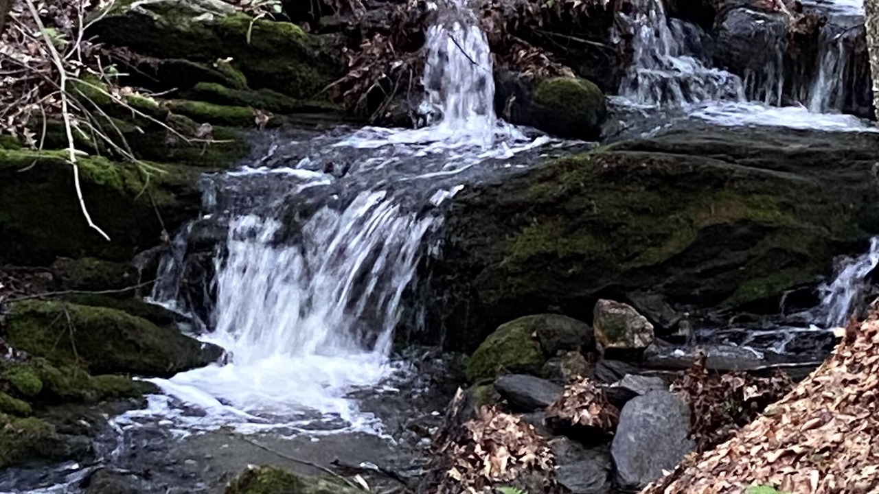 Photo of Others in Brookline