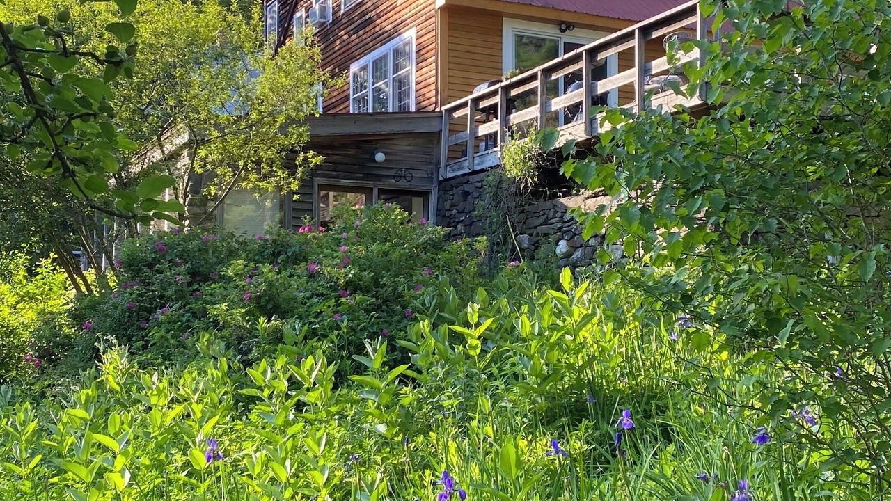 Photo of Outdoor in Williamsville