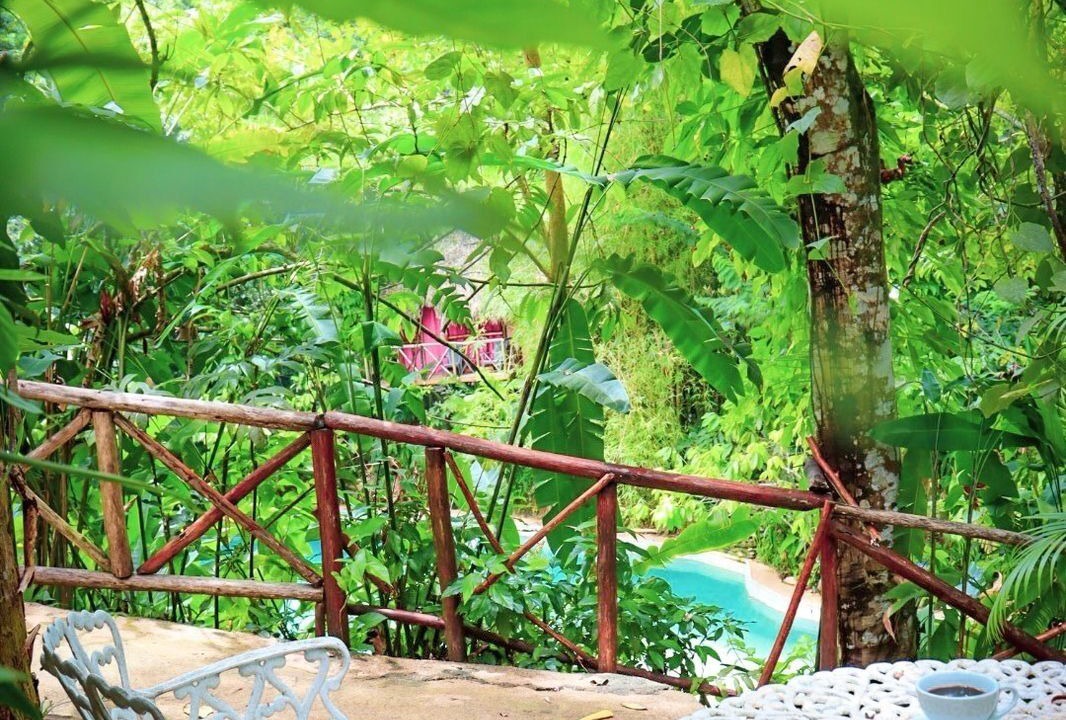 Photo of Outdoor in Samana