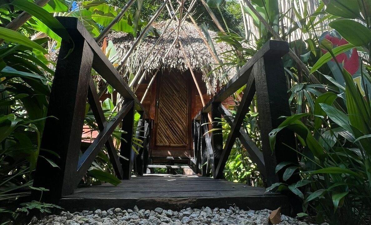 Photo of Outdoor in Samana