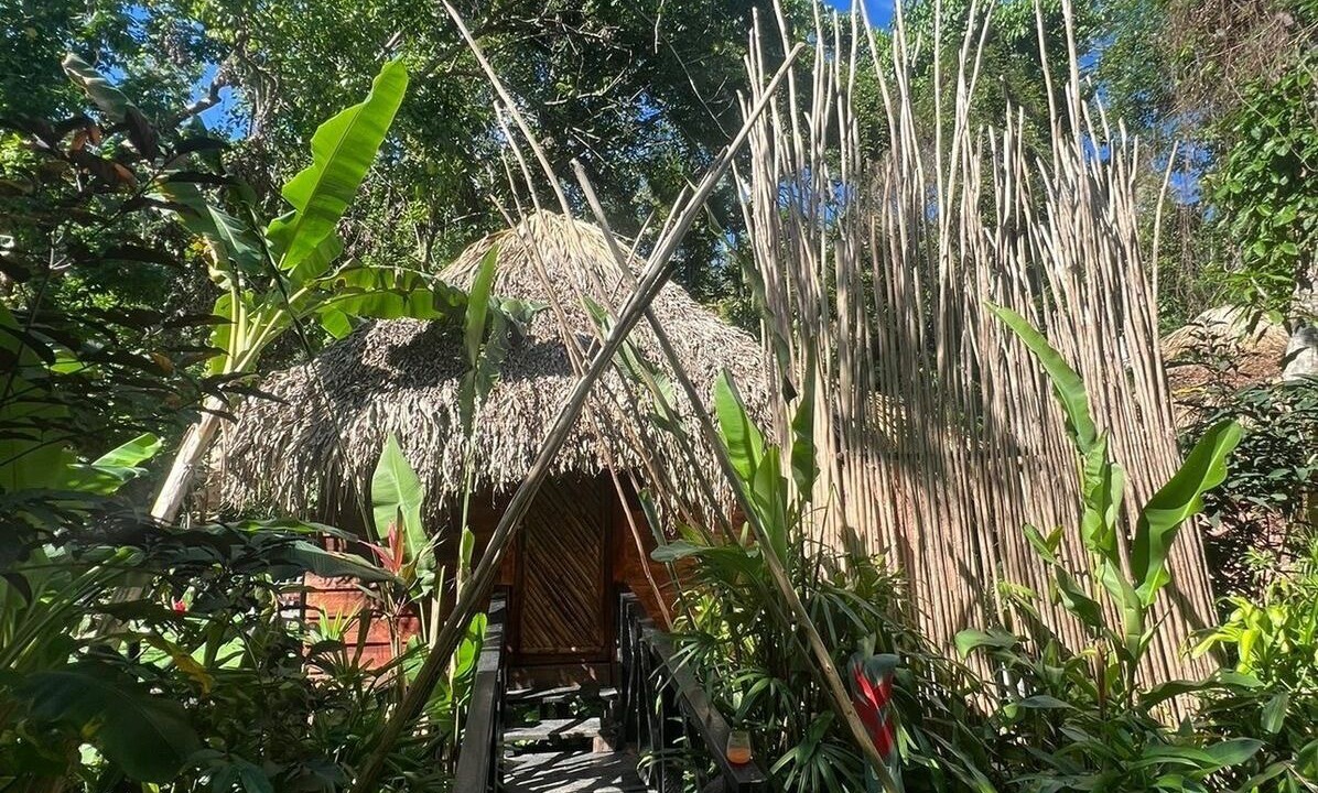 Photo of Outdoor in Samana