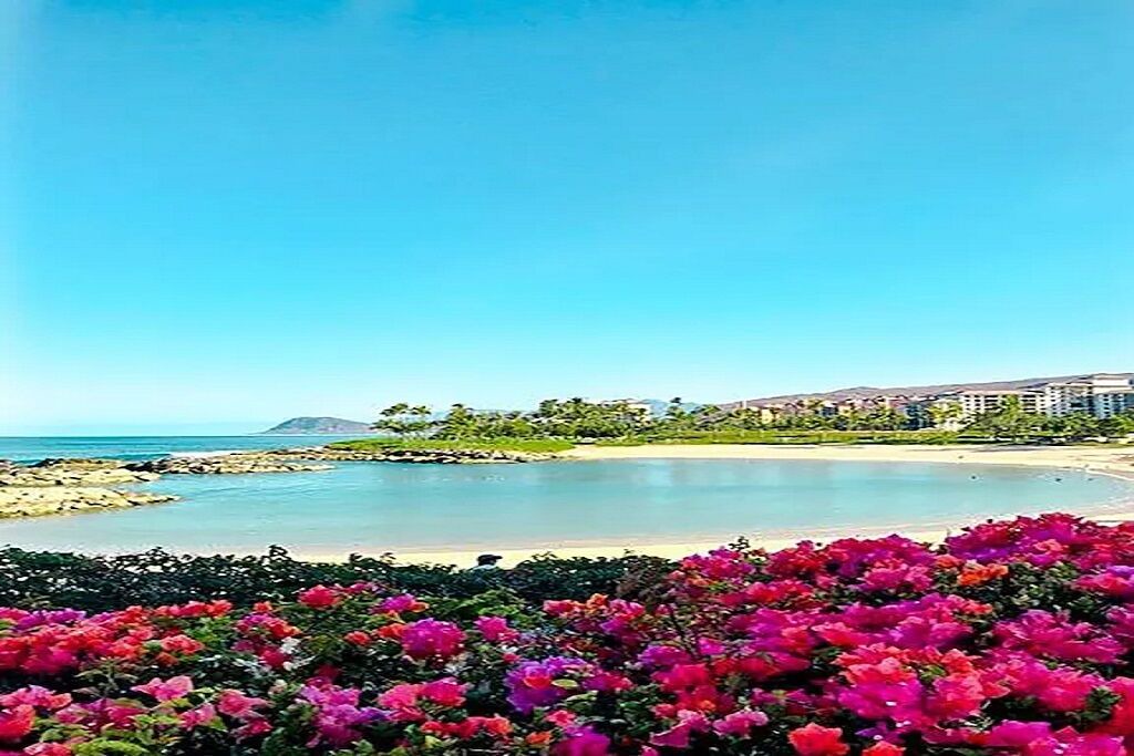 Photo of Others in Ko Olina