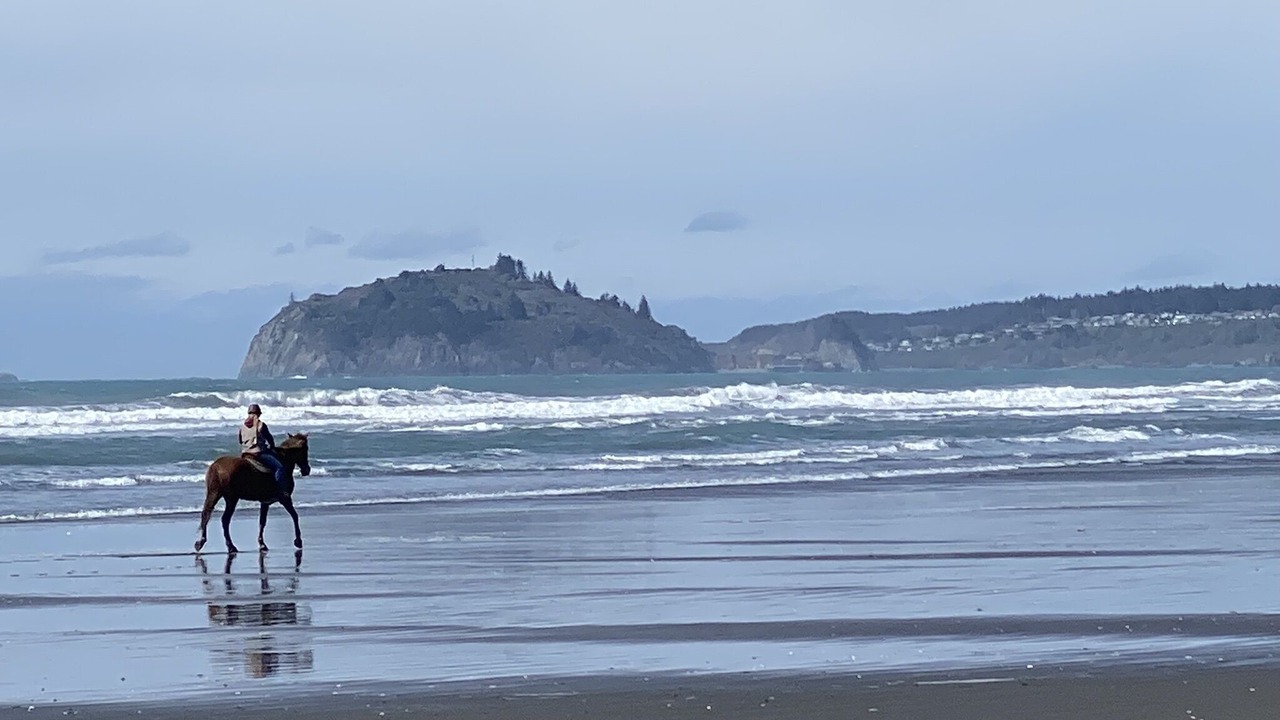 Photo of Others in Harbor