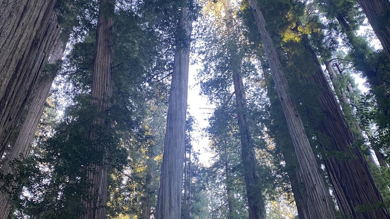 Photo of Others in Harbor