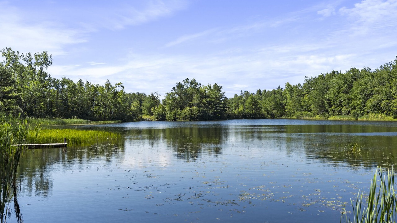 Photo of Outdoor in Becket