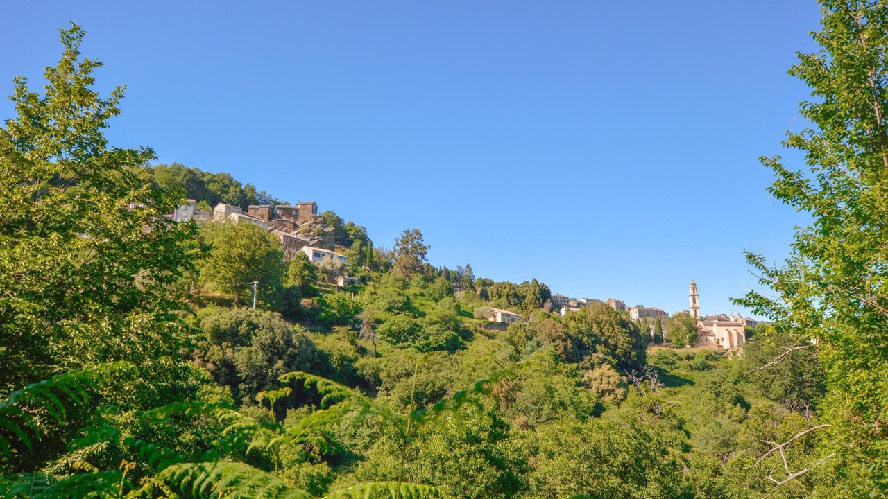 Photo of Others in Pietra-di-Verde