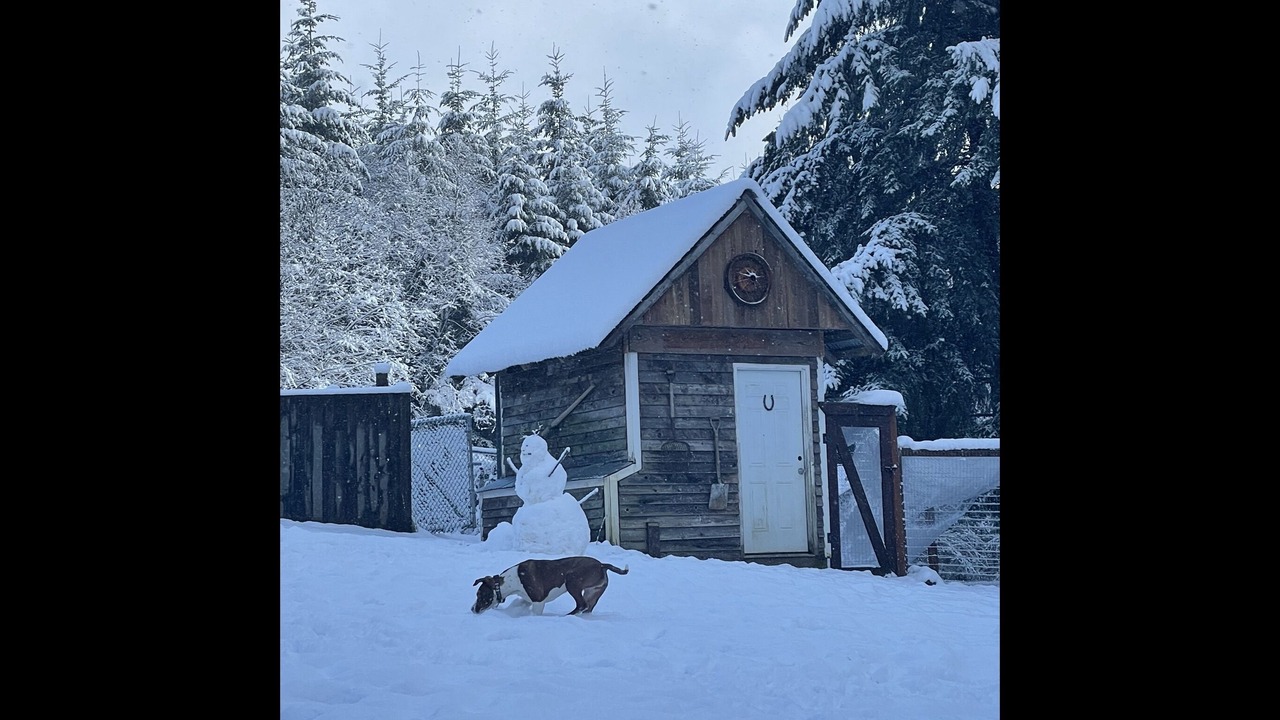 Photo of Outdoor in Deer Island