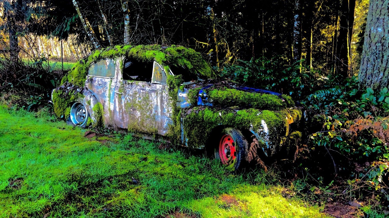 Photo of Outdoor in Deer Island