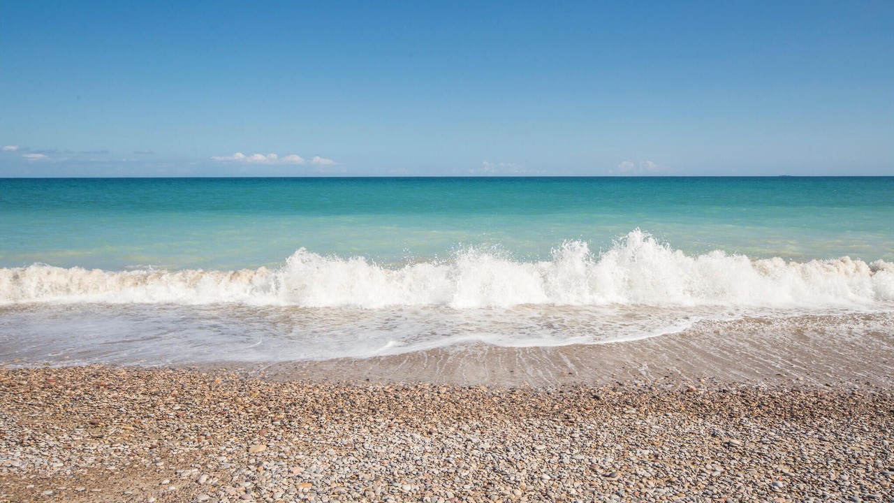 Photo of Others in Playa de Almarda