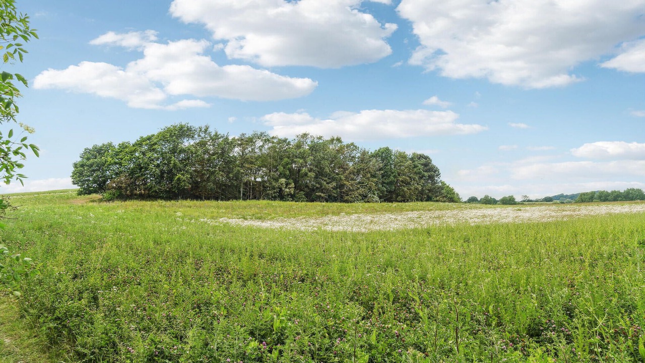 Photo of Outdoor in Tranekaer